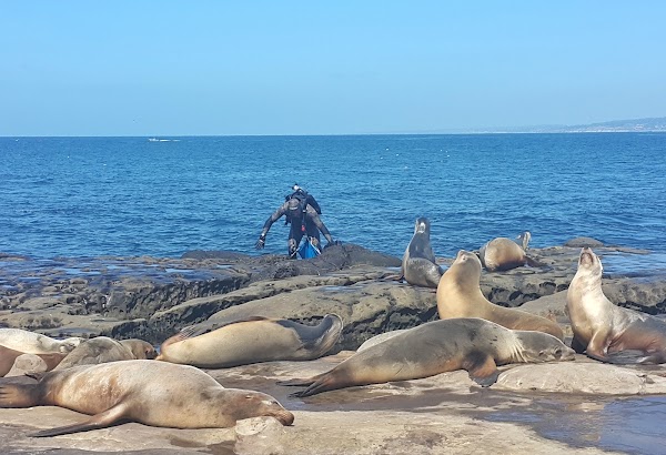 La Jolla Shores 3