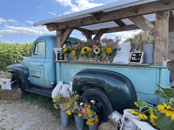 The Sunflower Farm 2