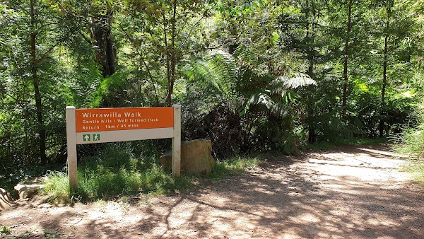 Wirrawilla Rainforest Walk 5