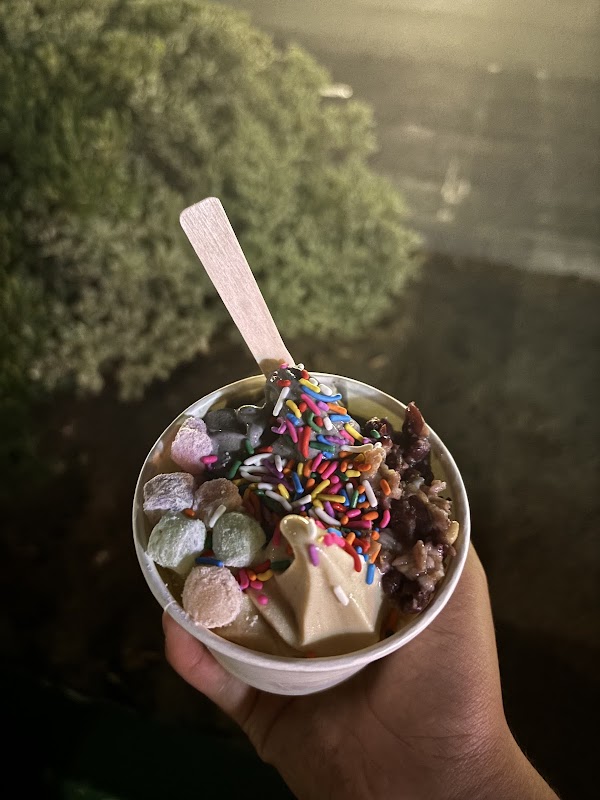 626 Ice Cream 5