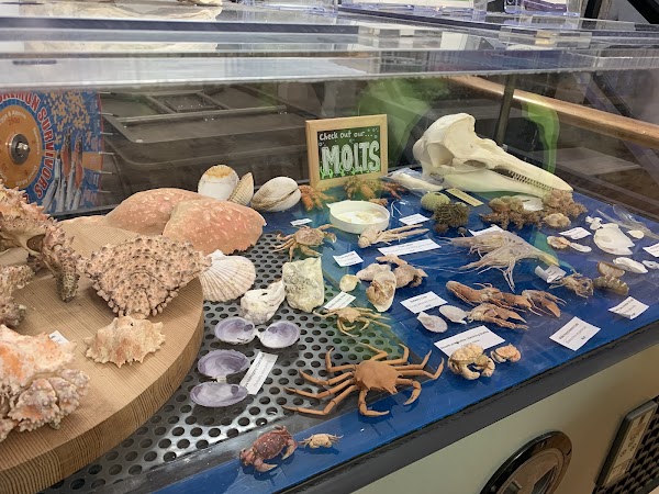 Gibsons Public Market 2