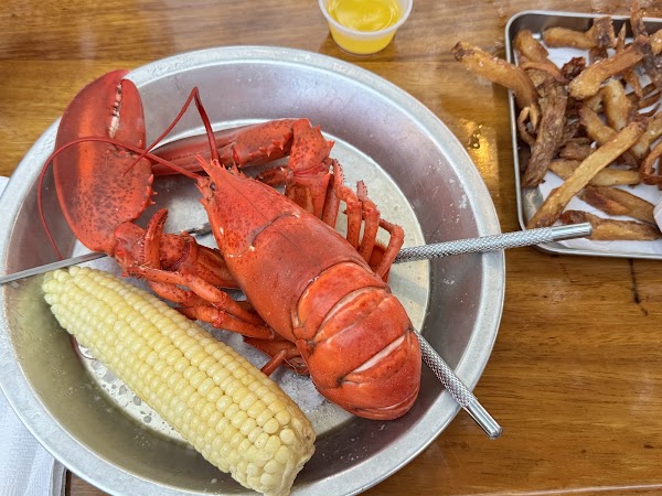 Abel's Lobster 2