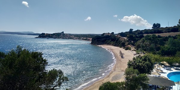 Foinikounta