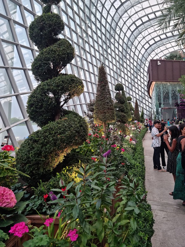 Flower Dome 4