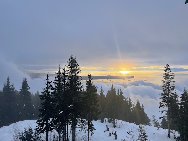 Grouse Mountain 3