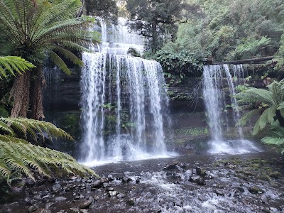 Mount Field National Park