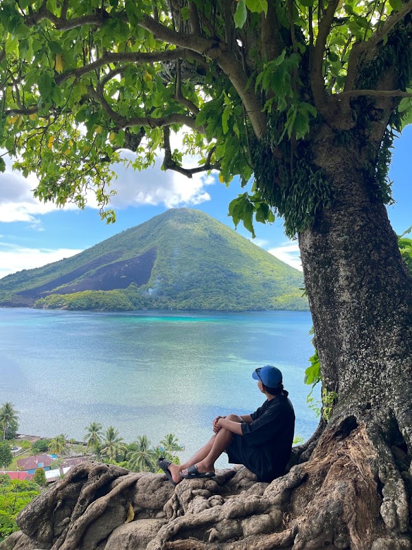 Pohon Sejuta Umat (Pohon Talang) 1