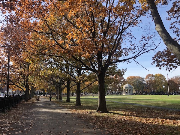 Salem Commons 2