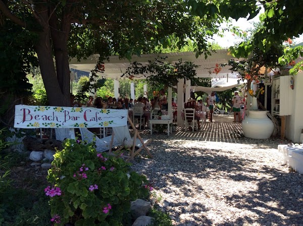 Hippy's Restaurant Beach Bar 4