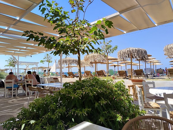 Hippy's Restaurant Beach Bar 2