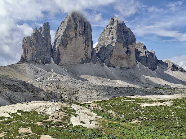 Brenta group 1