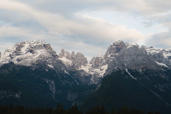Brenta group 4