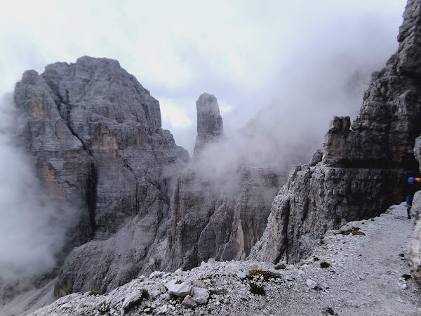 Brenta group 3