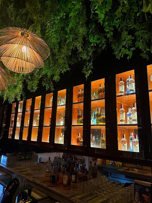 TreeHouse Rooftop Bar 5