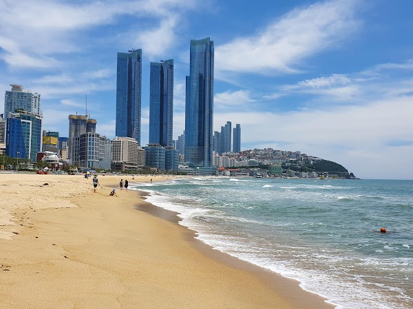 Busan 19