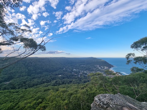 Forest walk to Sublime Point track