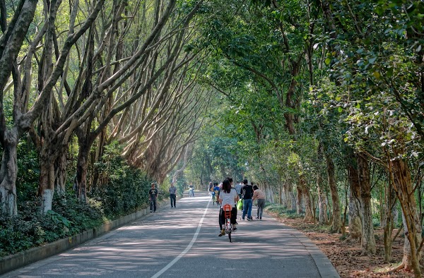 🇨🇳 Guangzhou 5