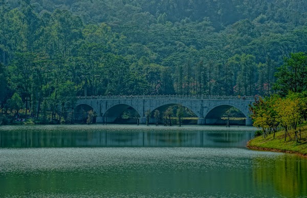 Dafushan Forest Park 4