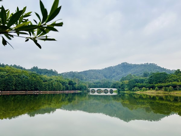 Dafushan Forest Park 3