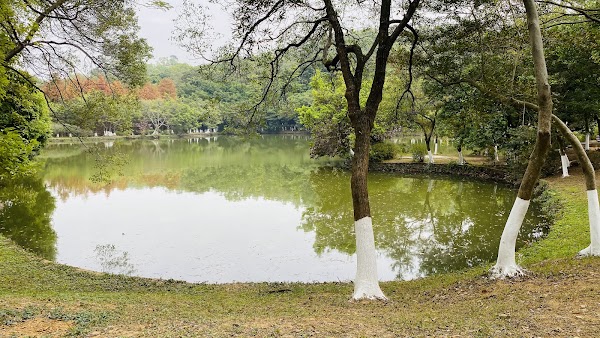 Dafushan Forest Park 2
