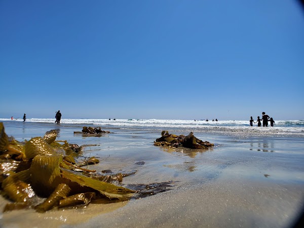 Silver Strand State Beach 4