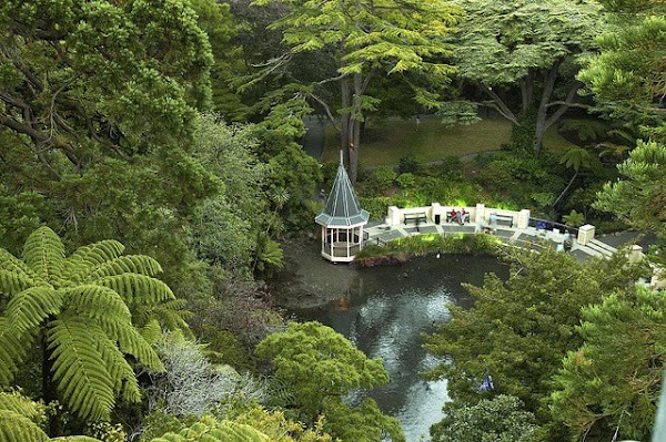 Wellington Botanic Garden 5
