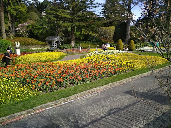 Wellington Botanic Garden 4
