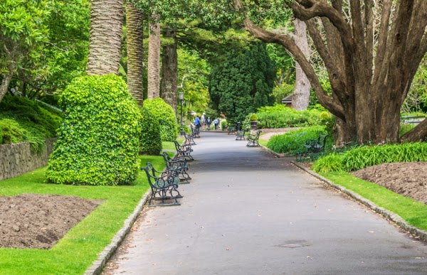 Wellington Botanic Garden 3