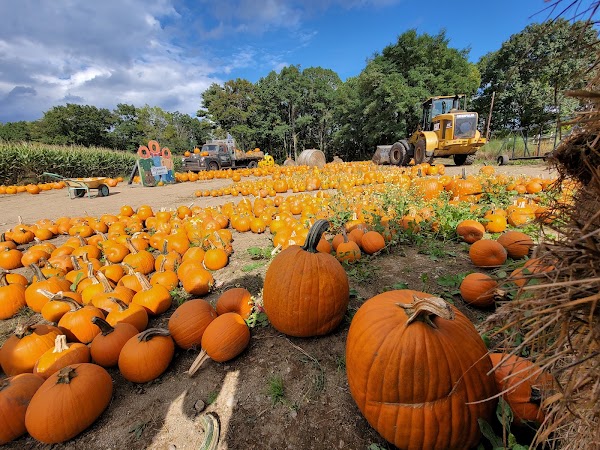Connors Farm 1