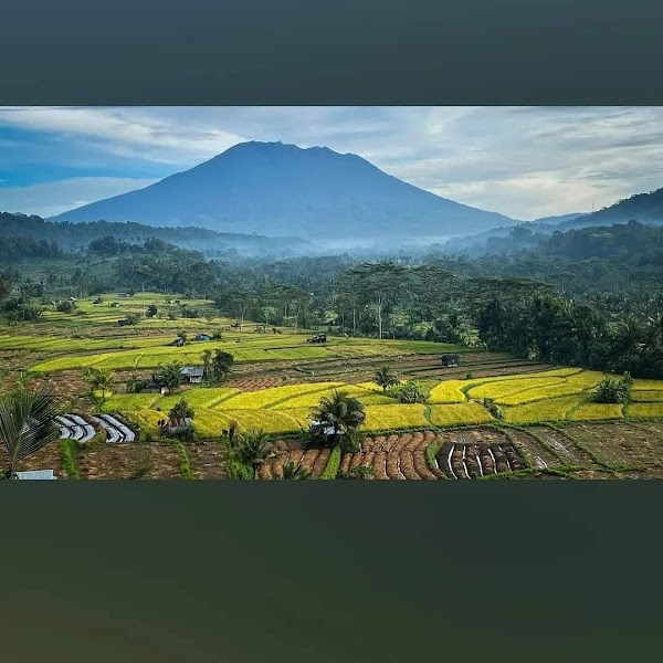 SIDEMEN RICE TERRACE