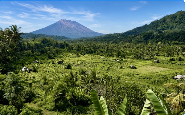 SIDEMEN RICE TERRACE 5