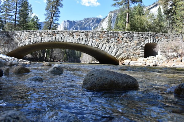 Upper Pines Campground 1