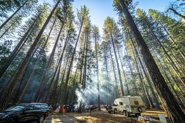 Upper Pines Campground 5