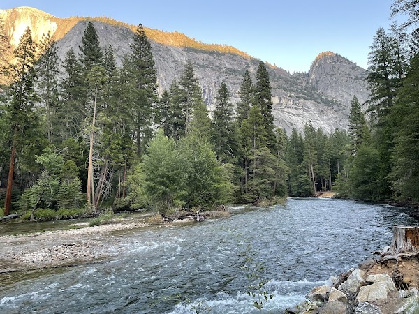 Upper Pines Campground 4