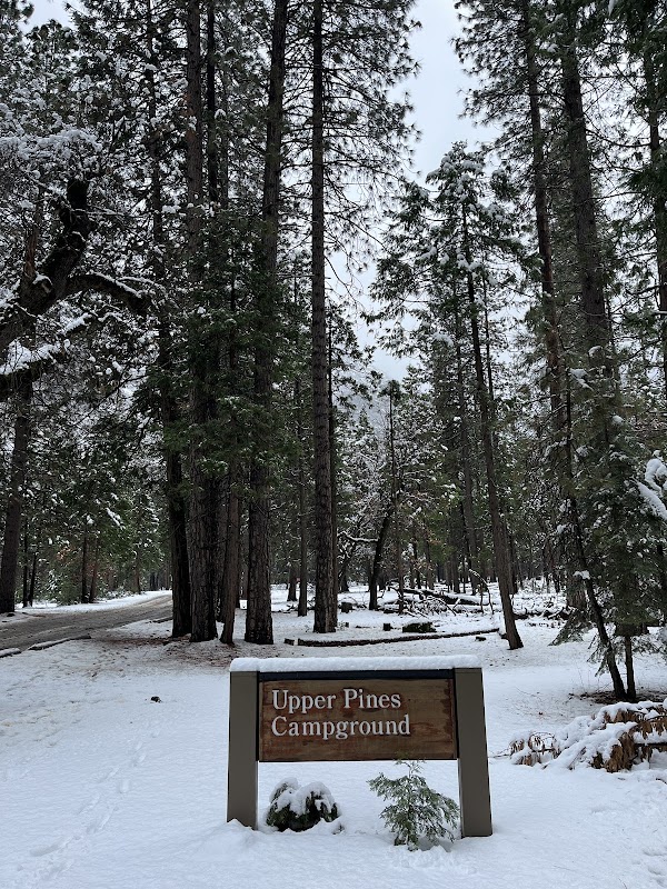 Upper Pines Campground 3