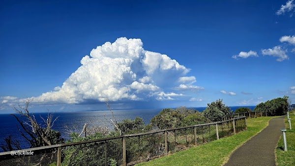 Macquarie Lighthouse 4