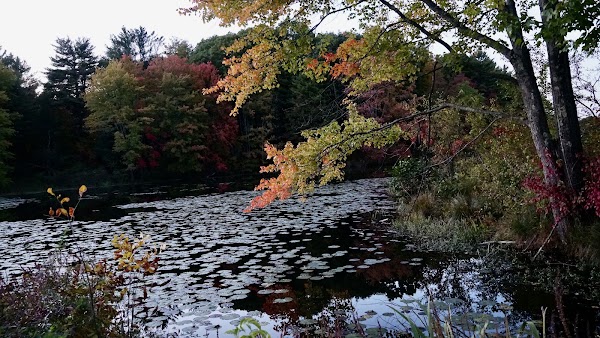 Catskill