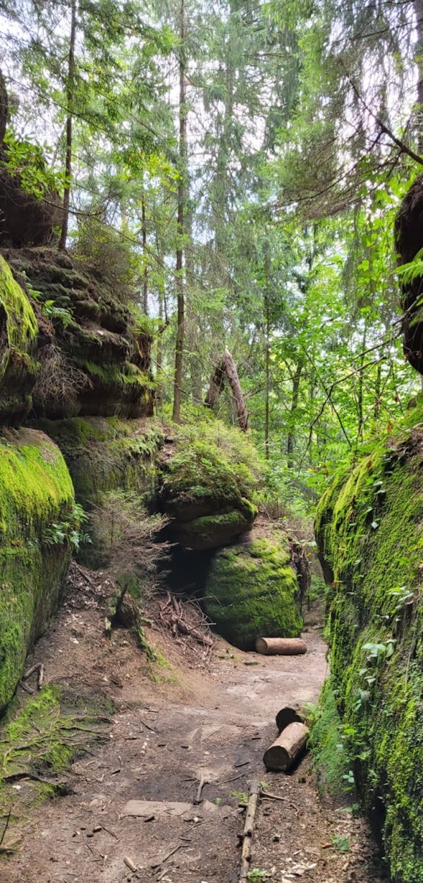 Elbe Sandstone Mountains 2