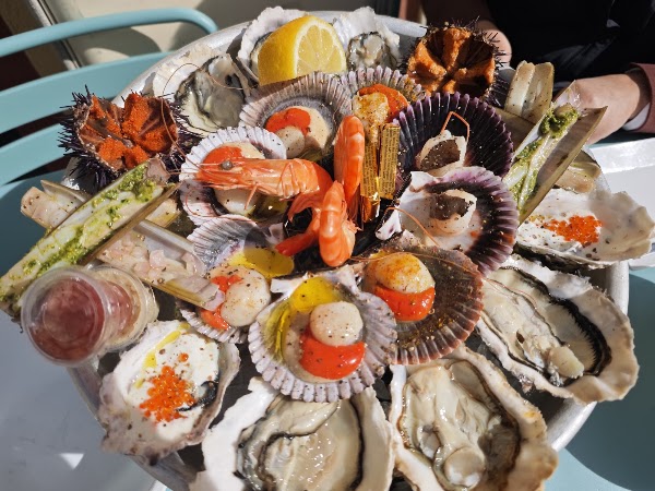 Coquillages Bouchet Nice 3
