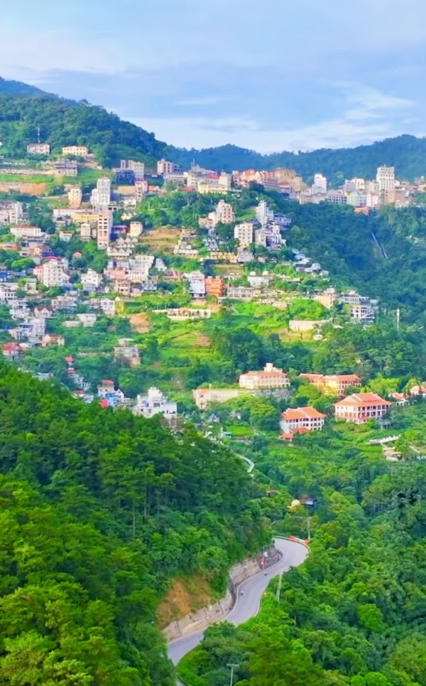 Tam Dao