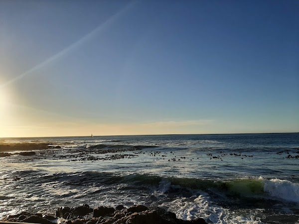 Sea Point Promenade 3