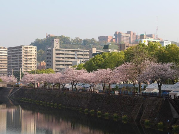 Kagoshima 4