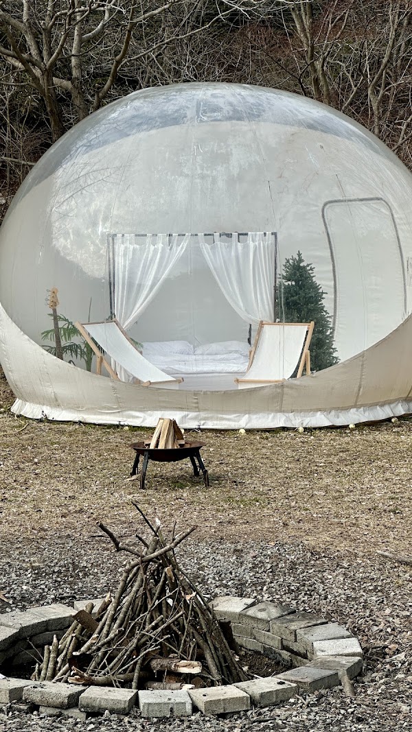 Just Glamping 5