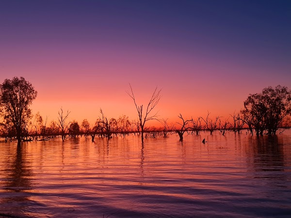 Lake Pamamaroo