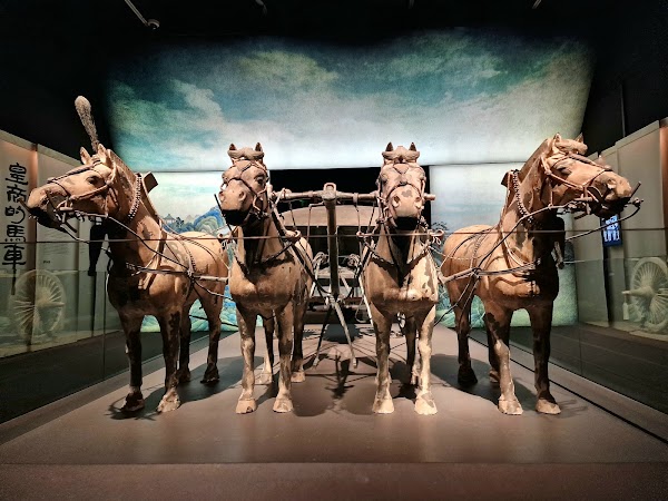 Archaeological Museum of Alicante 3