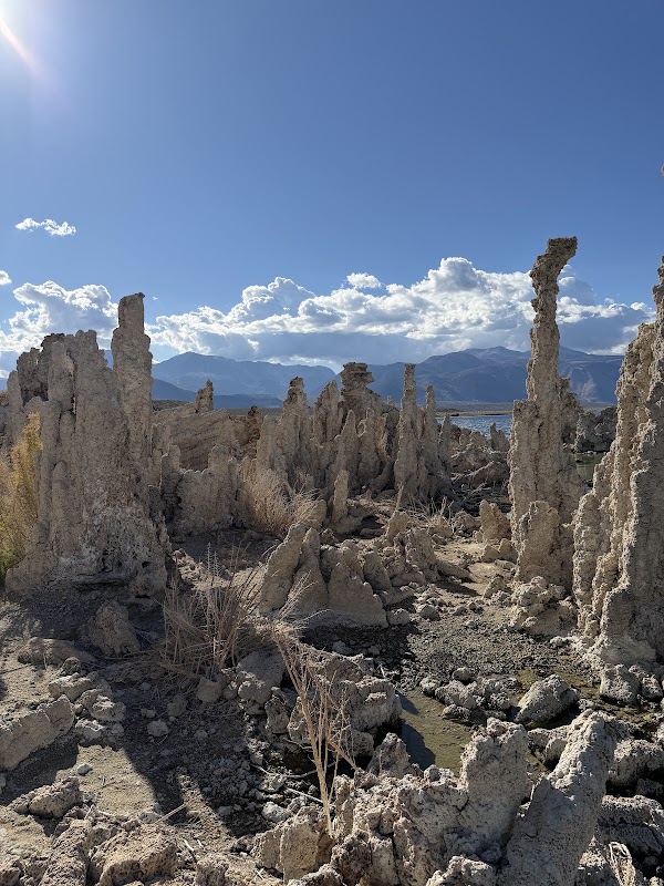 South Tufa Interpretive Trail 5