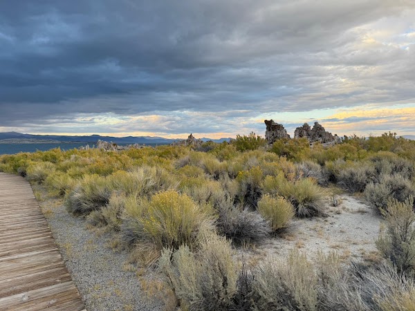 South Tufa Interpretive Trail 4