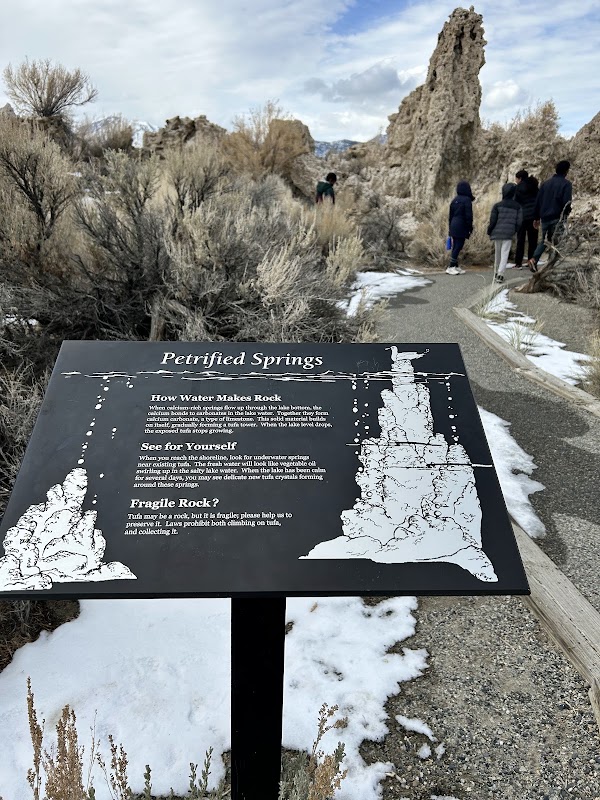 South Tufa Interpretive Trail 3