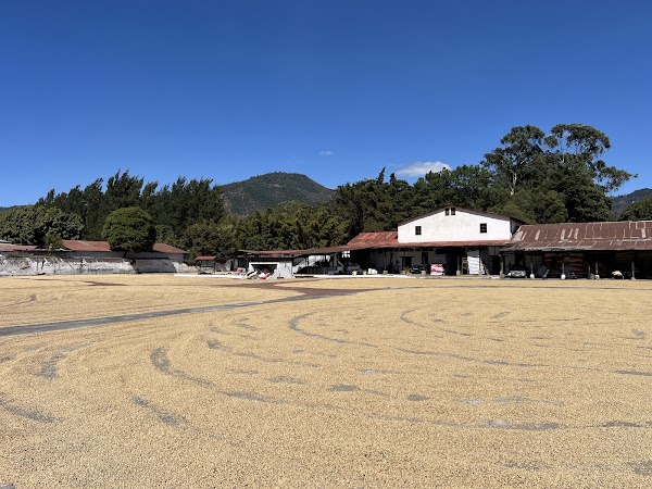 Finca La Azotea 4
