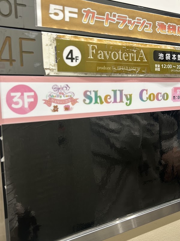 Shelly Coco 1